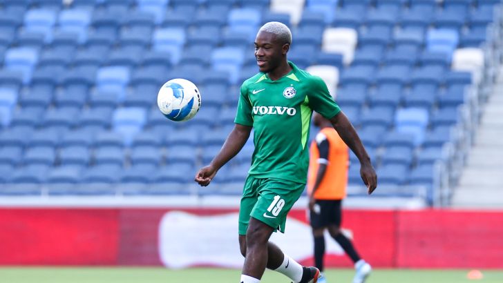 ז'אנדו פוקס