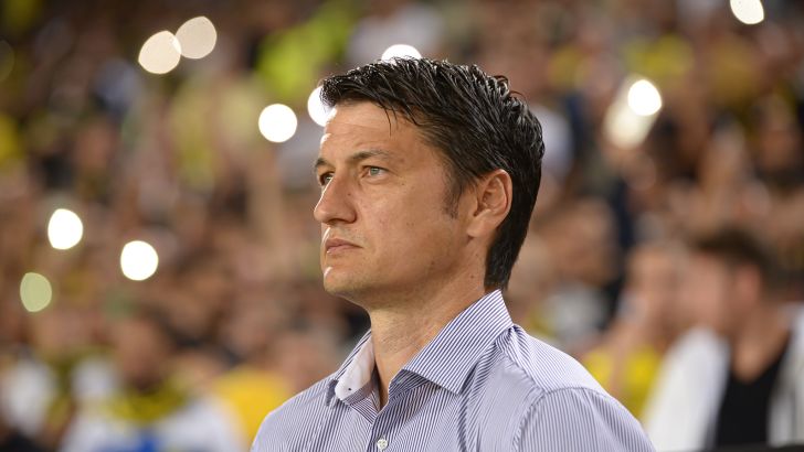 ולדימיר איביץ'