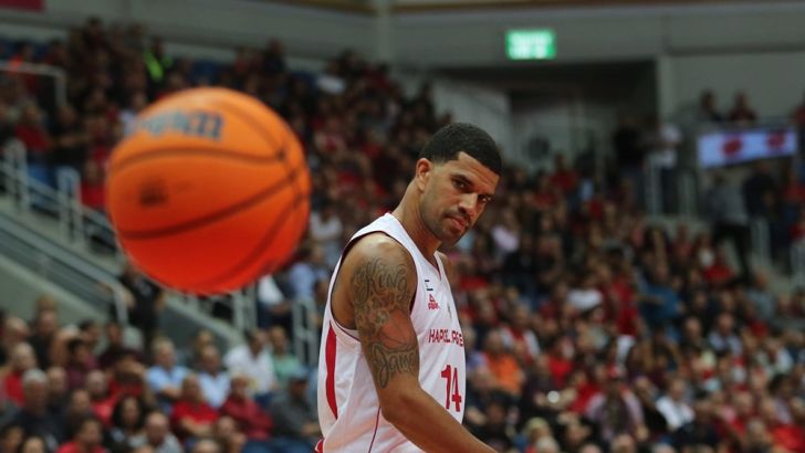 ג'יימס פלדין