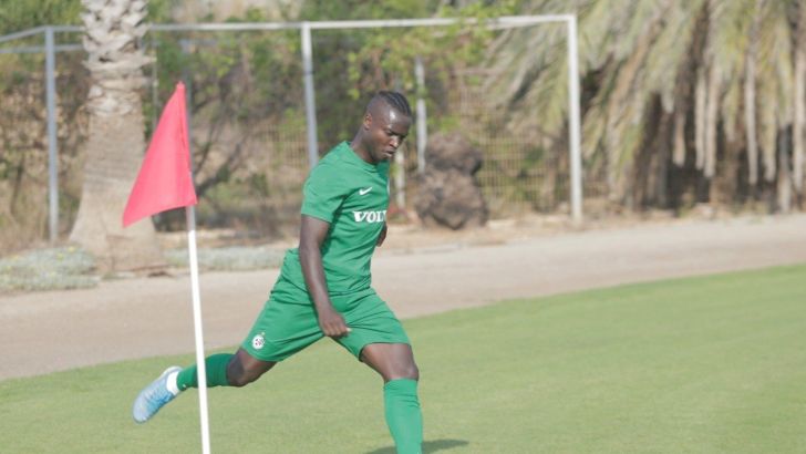 סינטיהו סלליך