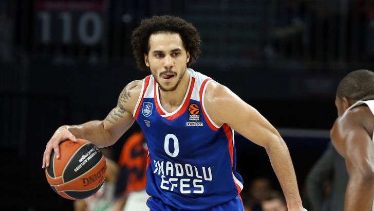 שיין לארקין