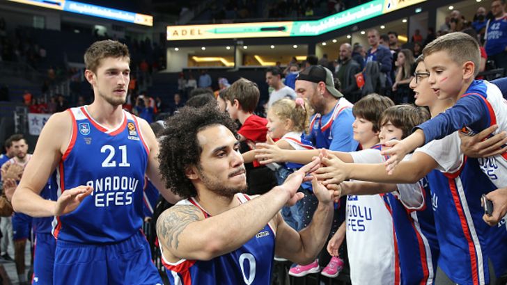 שיין לארקין