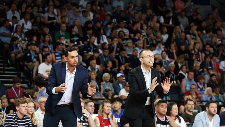 דן שמיר, מודי מאור