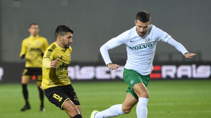 ניקיטה רוקאביצה, אלמוג כהן