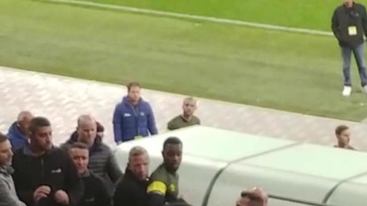 פרדי פלומיין