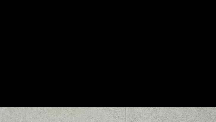 ויטאלי גנון