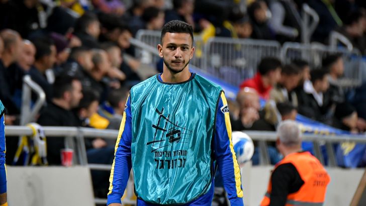 אילון אלמוג