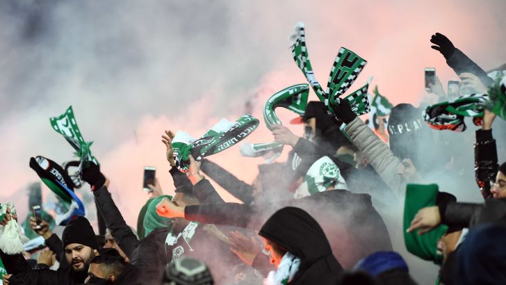 אוהדי מכבי חיפה בטדי