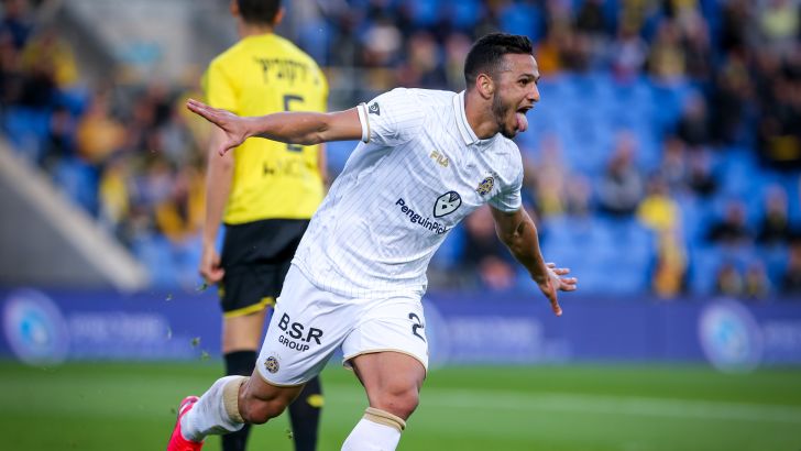 אילון אלמוג חוגג