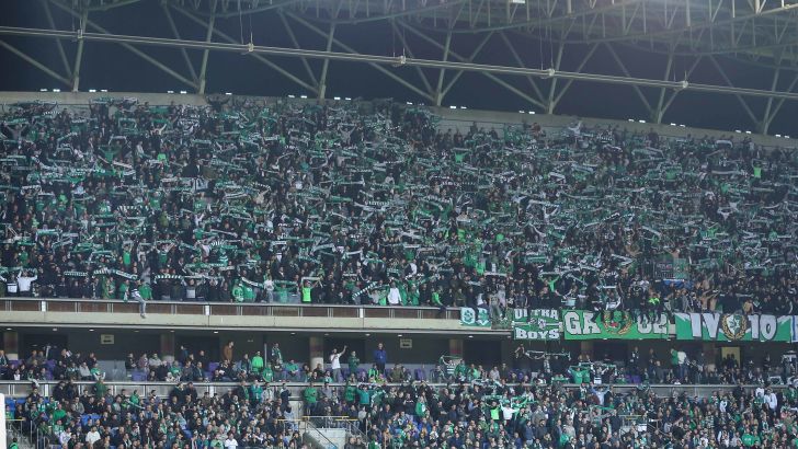 אוהדי מכבי חיפה