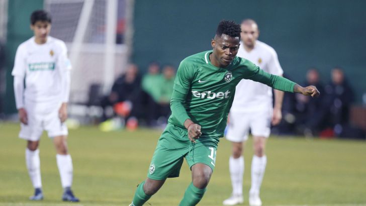 מאוויס צ'יבוטה