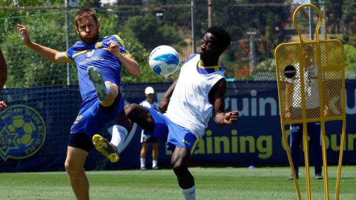 שרן ייני, גייאגון פארפה