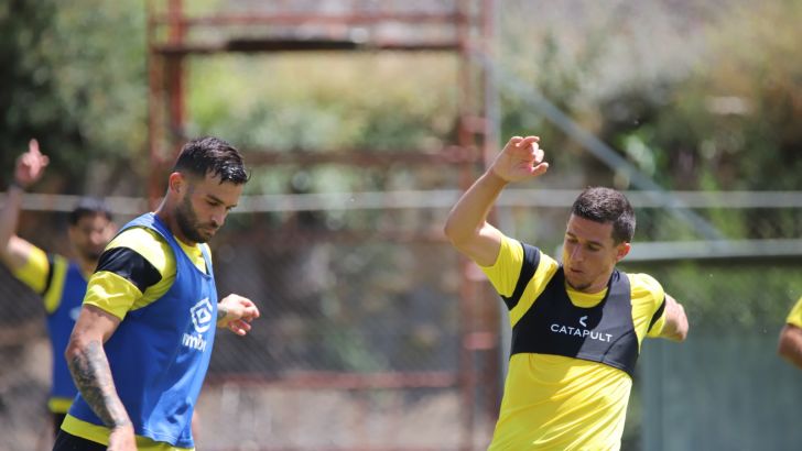 עידן ורד, חנן ממן