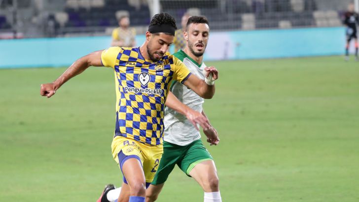 יונתן כהן, נטע לביא