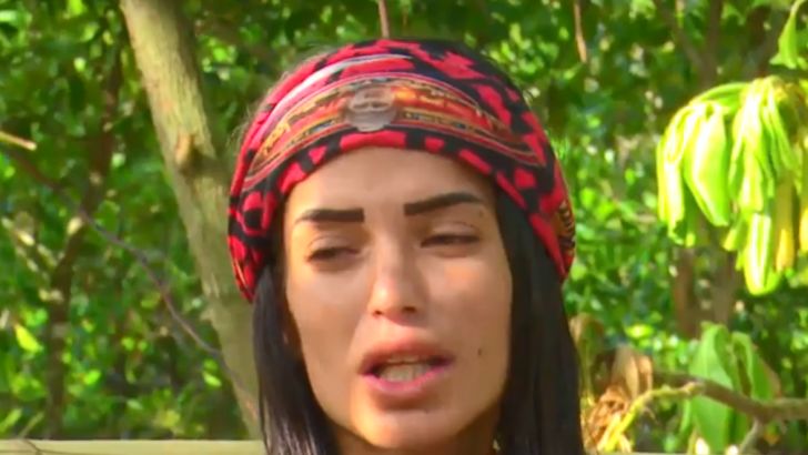 ליטל סמדג'ה