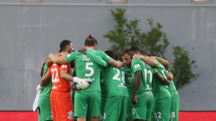 שחקני הפועל כפר סבא