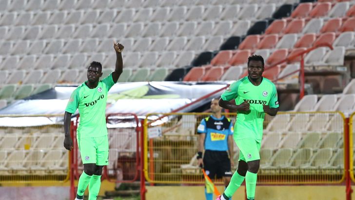 סינטיהו סלליך