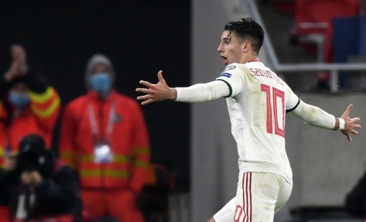 דומיניק סובוסלאי