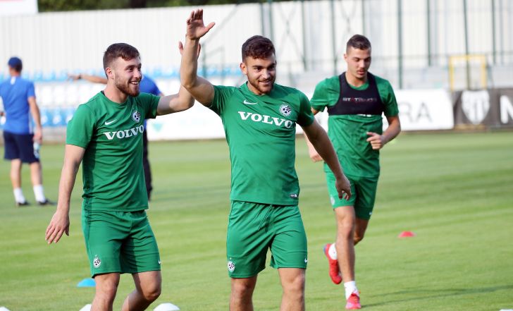 יהב גורפינקל, עפרי ארד