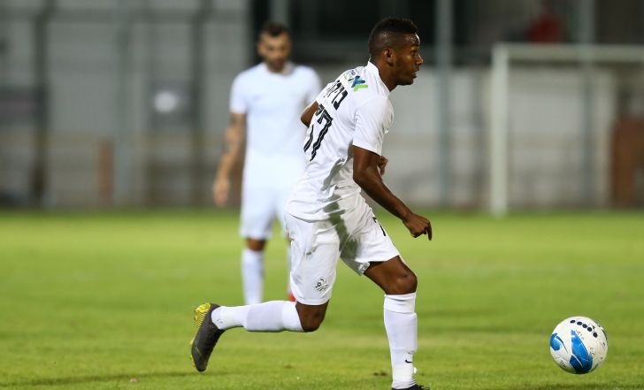 יעקב בריהון