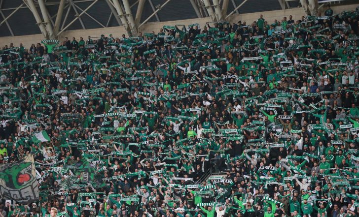 אוהדי מכבי חיפה