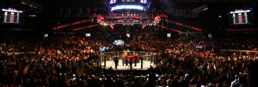 אומנויות לחימה