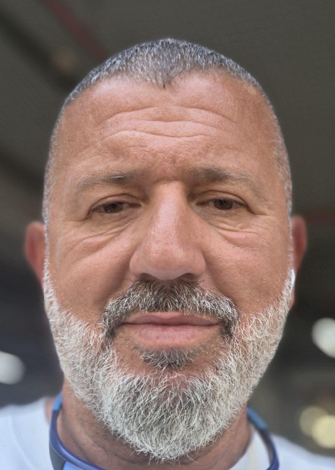 אלון חכמון