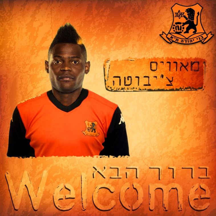 צ'יבוטה. יחזק את אבוקסיס צ'יבוטה. יחזק את אבוקסיס