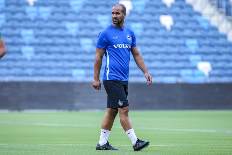 גל אלברמן (מאור אלקסלסי)