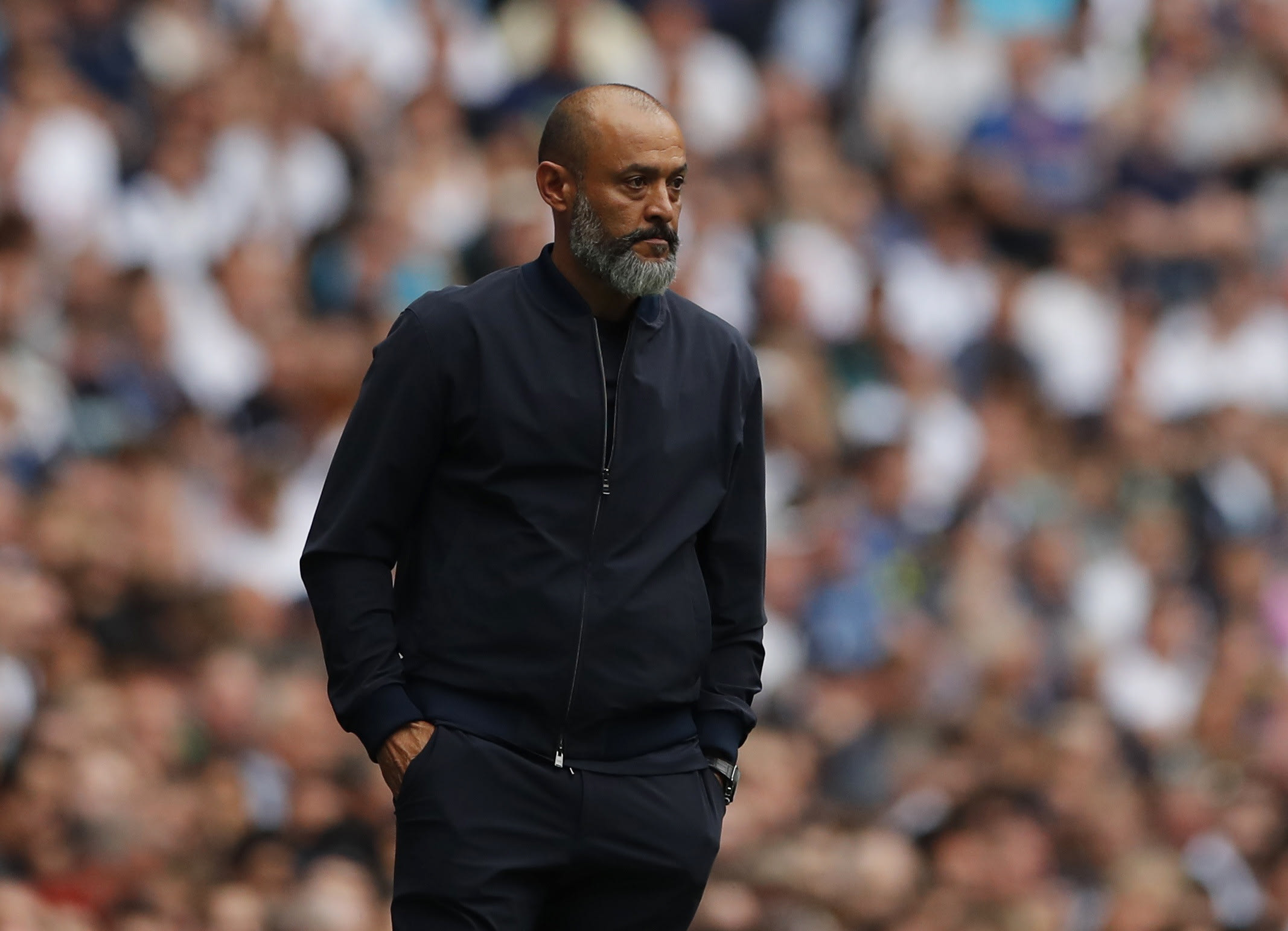 נונו אספיריטו סנטו מאמן טוטנהאם